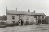 black bull c1908